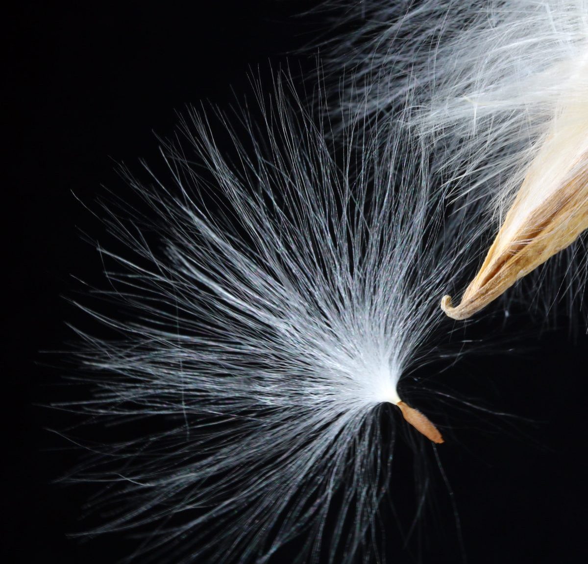 This is How I Became a Person